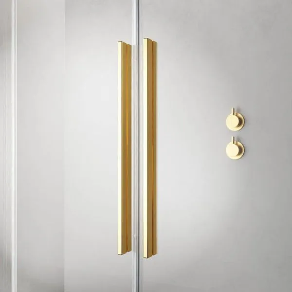 Душевая дверь Radaway Furo DWD Gold в интернет-магазине Kingsan